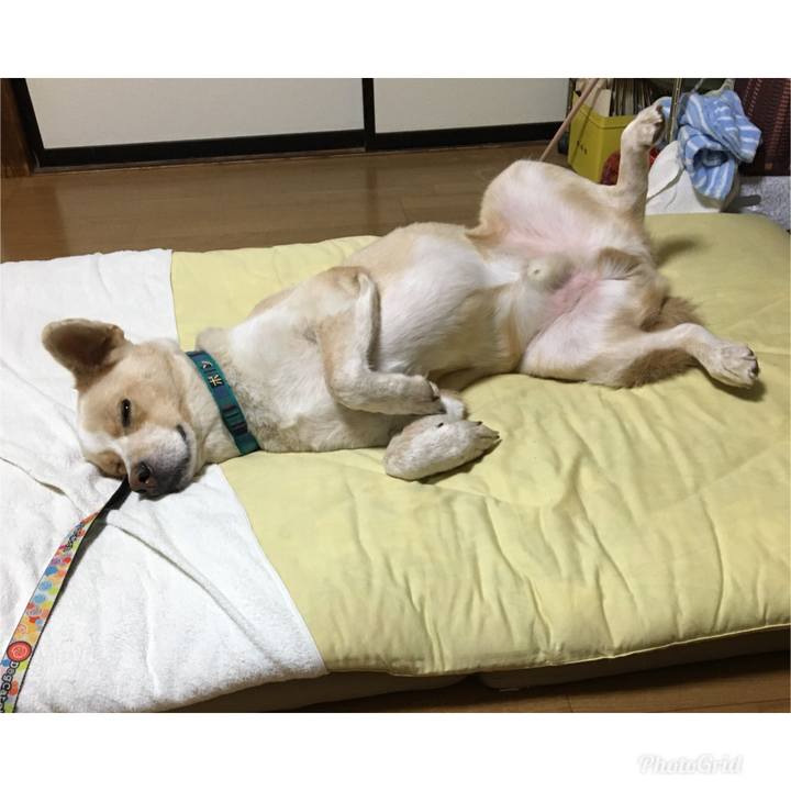 029b0c2f d7f0 4793 864c bba3e8fbd821 1536594013056