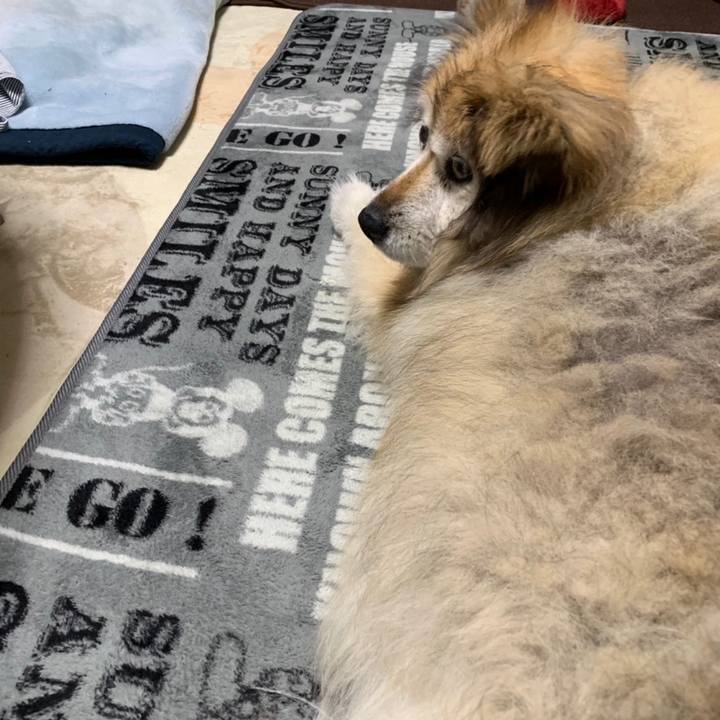 029b59bc f461 4913 a4fb 7a8e7a34624f 1562018890739