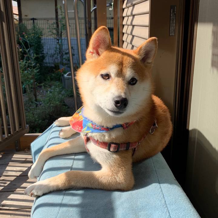 029b6fbe 608c 453c 95f4 f7ee7a807be3 1572697454221