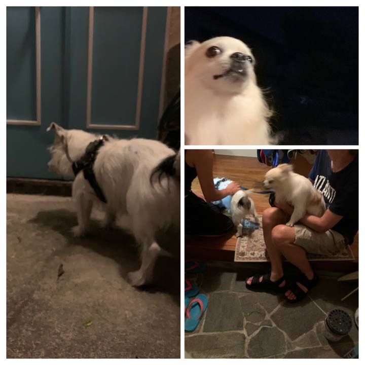 029bb5b5 9a1a 43b8 9c60 a9c11d7380cc 1660050420172