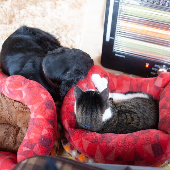 029bccdd c098 4d72 bcd4 3b4fb360d1b8 1575675789665