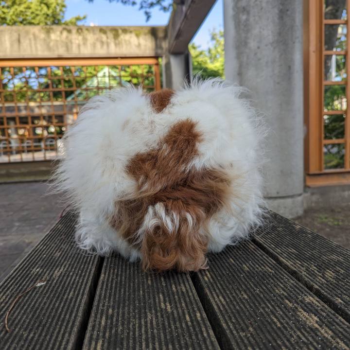 029c7cc2 a5bd 484c b8d6 cc4092becc0e 1684930289254