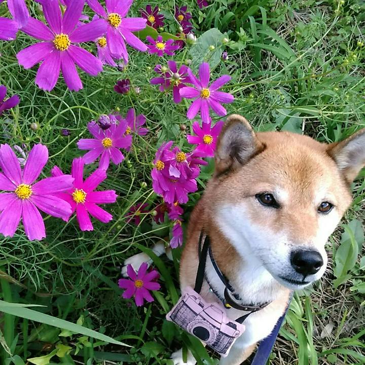 029c8d62 3c97 4124 90fa bd31977b5dee 1569827872187