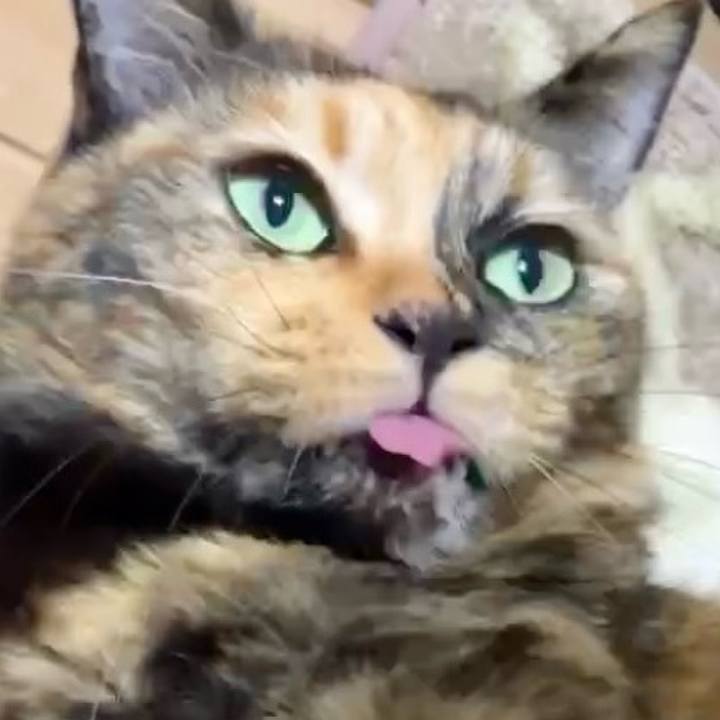 029c94ec 01f4 412a a2b9 2fe4e9076908 1730921689861