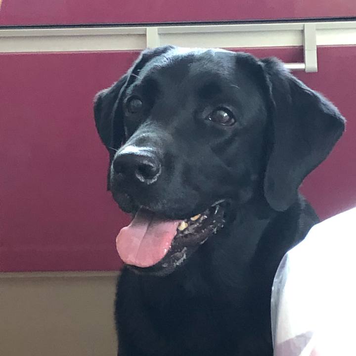 029ce04d 647e 4d15 b9bb 10e610033130 1596845066269