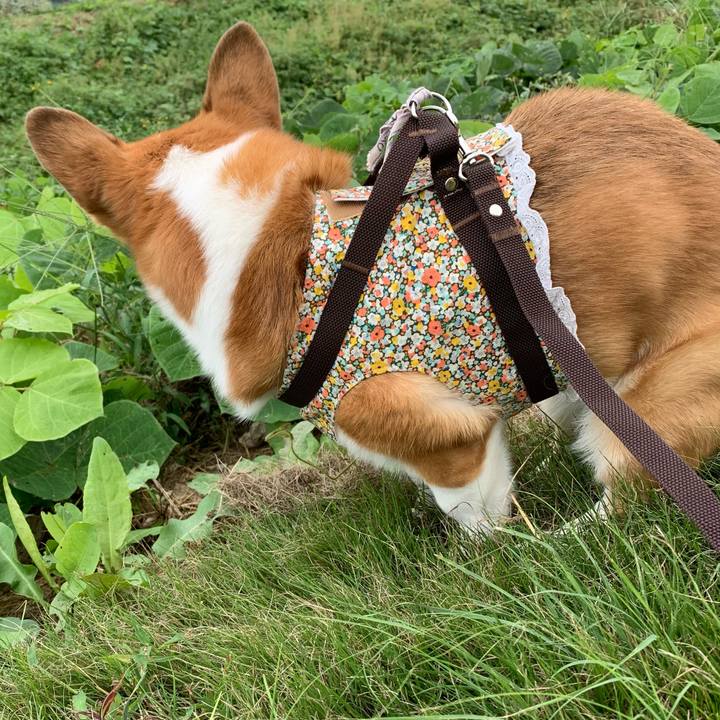 029cf4a0 6afd 469e b025 ba9cce5f66d8 1632711238815