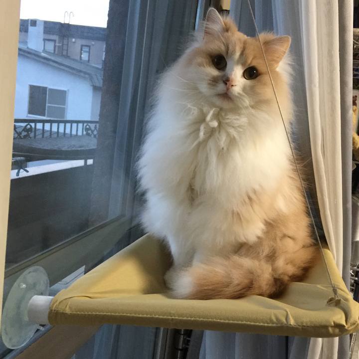 029d0c11 6fa9 4302 9d76 d8794f5e8ac3 1524562559812