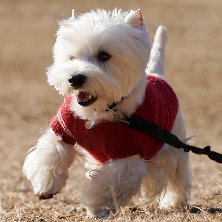 029d2457 5930 4a18 8a6d 279c13b76a1d 1517958477441