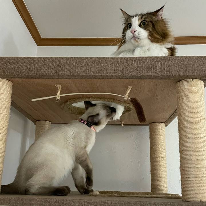 029d4eff 0aa6 4c0b aa95 1b24cfdecc18 1694725879038