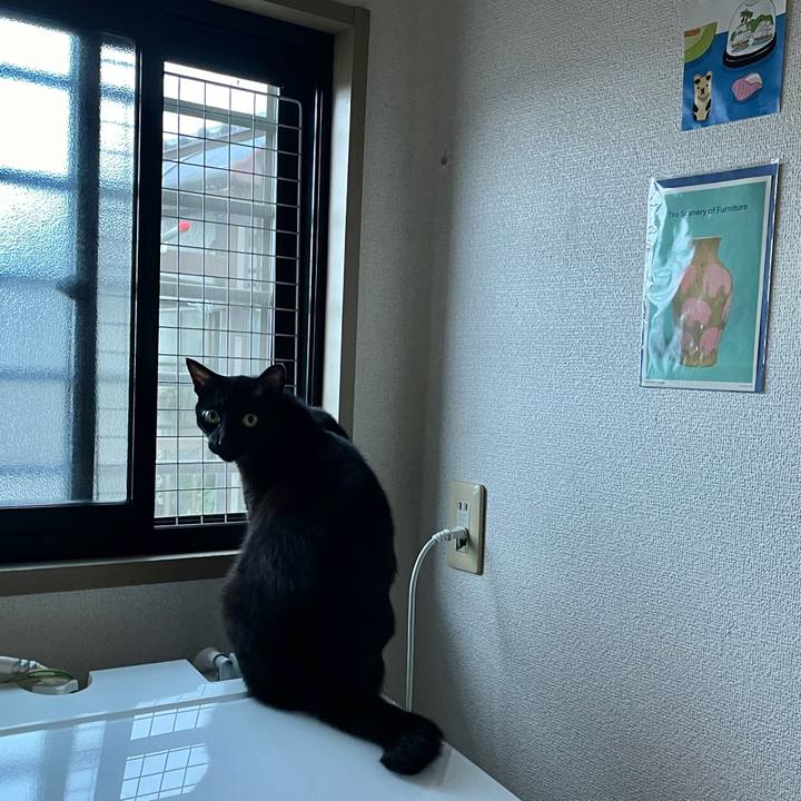 029d5ee2 bcad 4390 99b0 e21ac8fed235 1727910670802