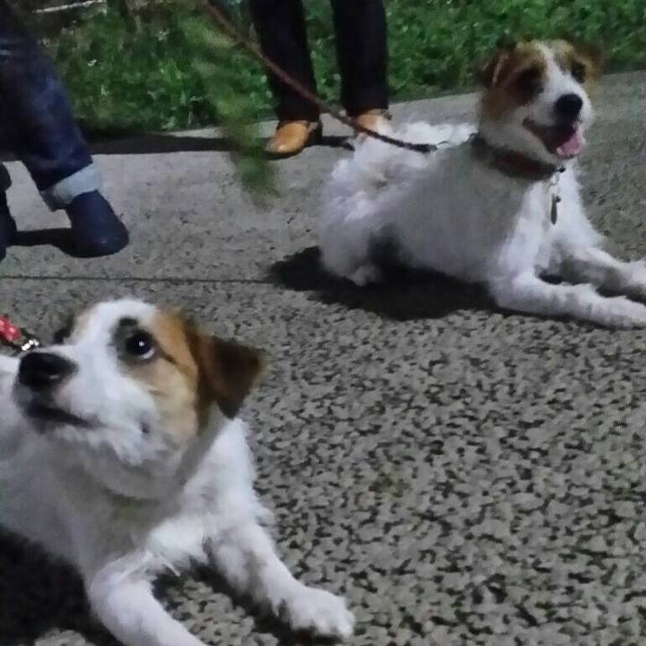 029d6703 8127 451d 815f d11cb01929fd 1539804610943