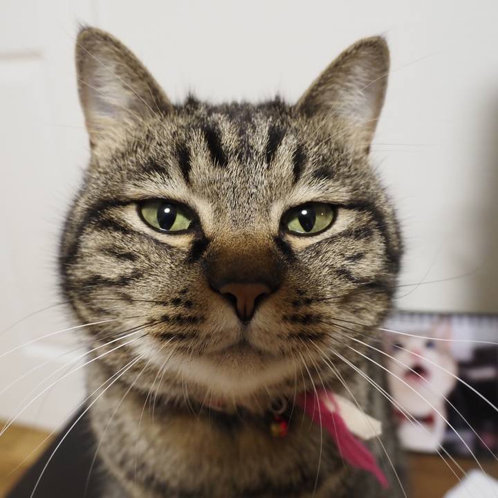 029db2f9 049c 43da be74 76a19c92013f 1615708975048