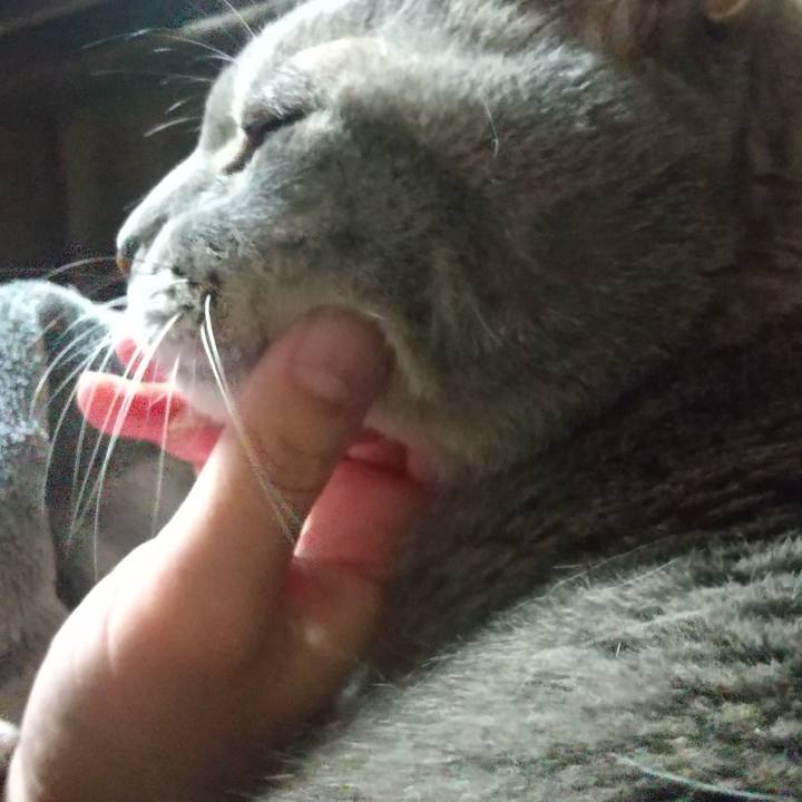 029dce7a ab04 4c83 886e e291798646f1 1669646741689