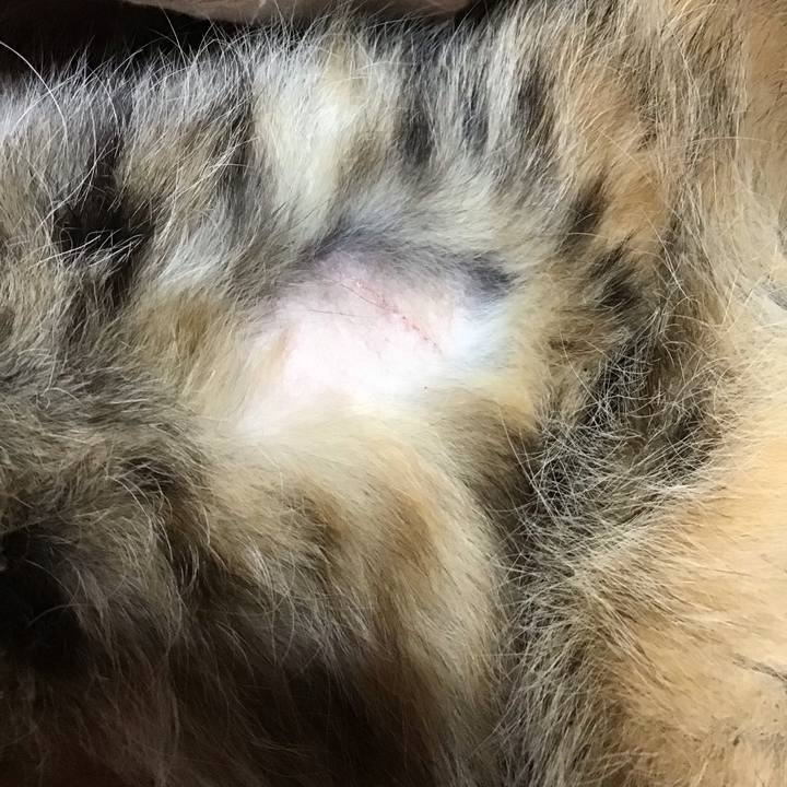 029e0b06 8a28 4562 bd45 a337642ac3e4 1678091493694