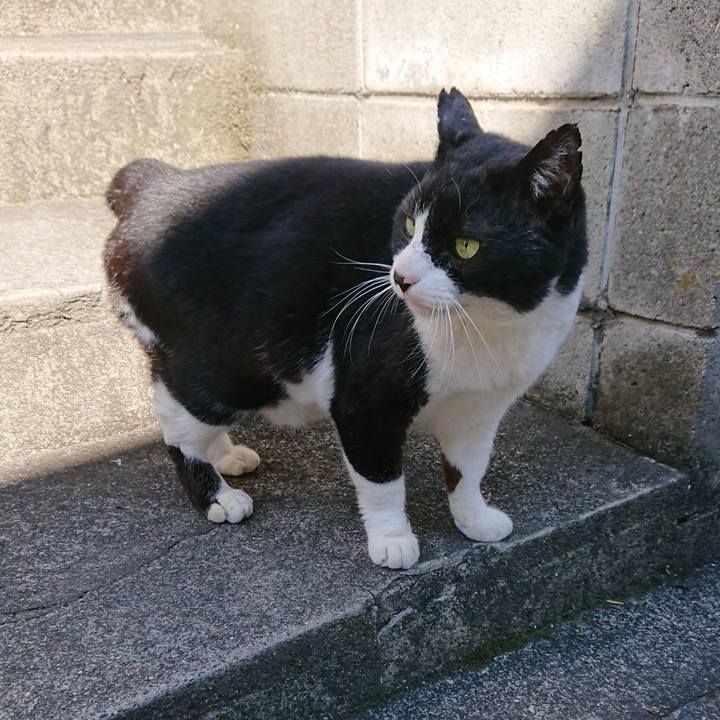 029e453a 5218 4642 a570 d2218d9947db 1584665440639