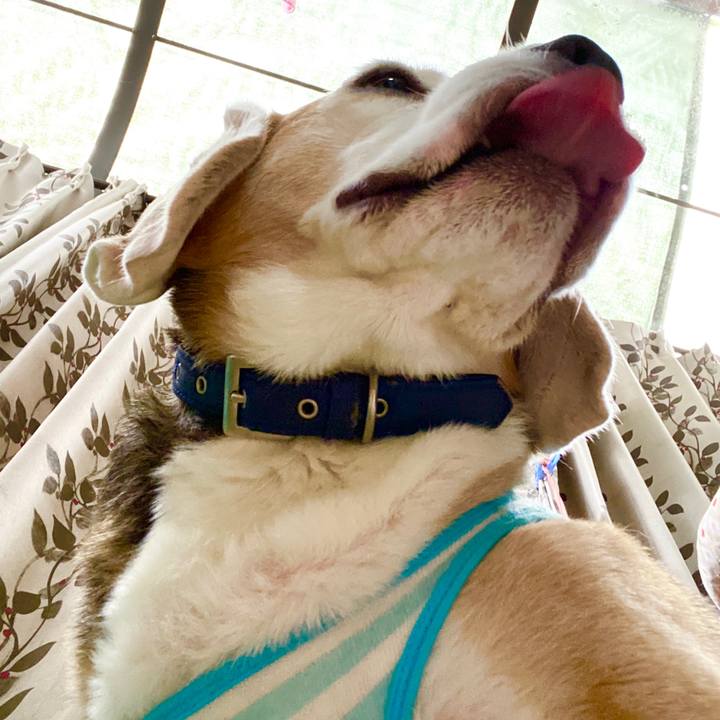 029e4d88 5d07 42c0 8f79 157e3c7b6951 1599104077198