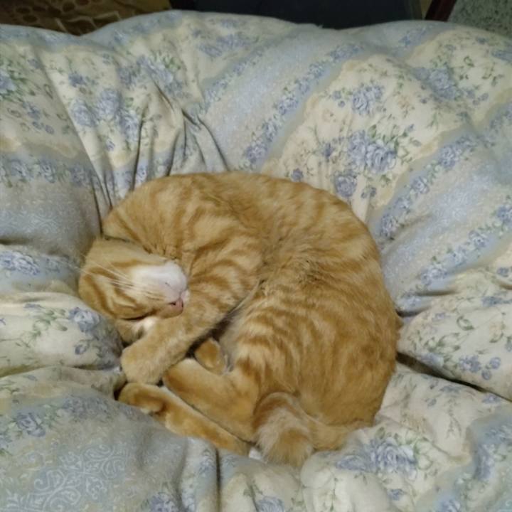 029e67e2 1b4c 4da4 b7d6 05ac0b0f073e 1665581297860