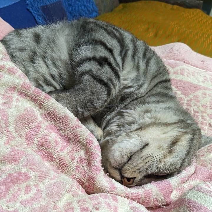 029ea997 542f 4e3c b1a1 3af675f86431 1697012938768