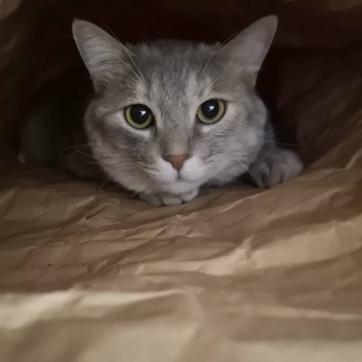 029ebdc1 c468 4a96 b8fa 18e511143613 1596809144844