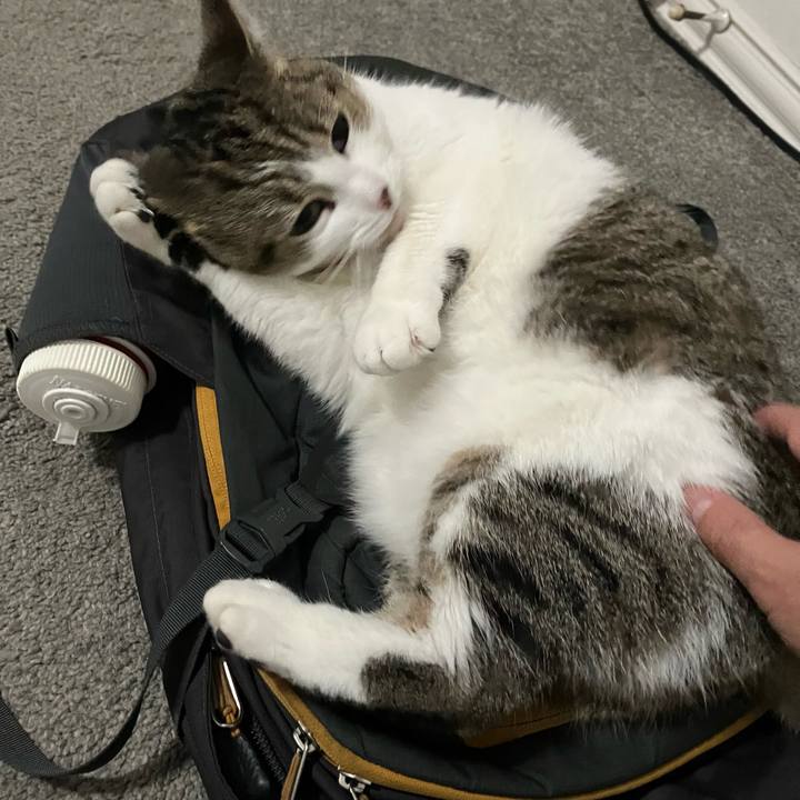 029ebe71 654d 450c a729 91b6a4c3f80d 1740378171244