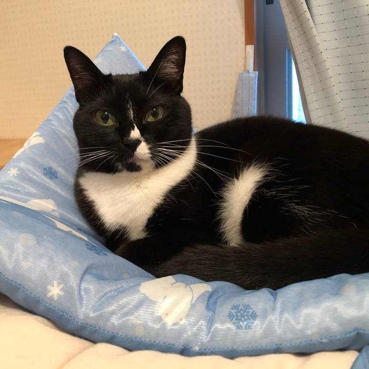 029ed160 2835 46b0 8d99 d2fc181f41b6 1592019640371