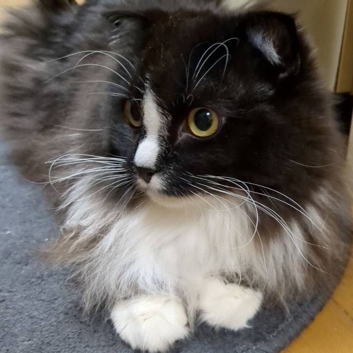 029ee809 4980 4e95 ac41 9cf91a34f6e2 1671975270651