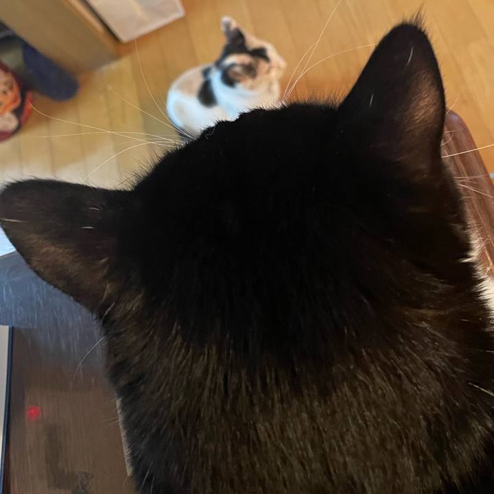 029f21ee d93b 48a2 ac21 536b88605054 1673658464857