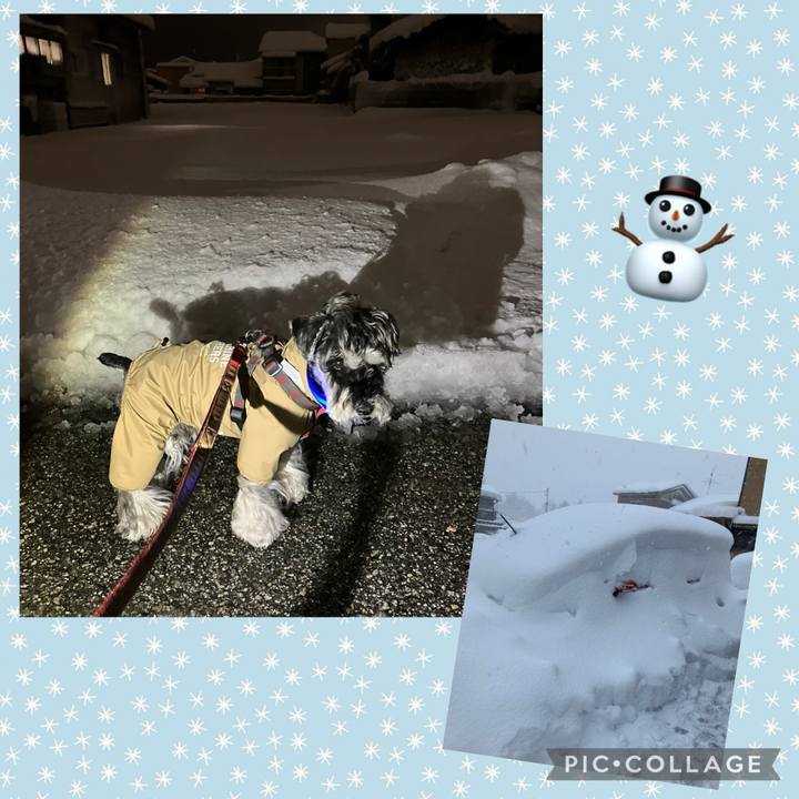 029f45be c2ae 45b7 a365 5700ffe2400f 1738761410941