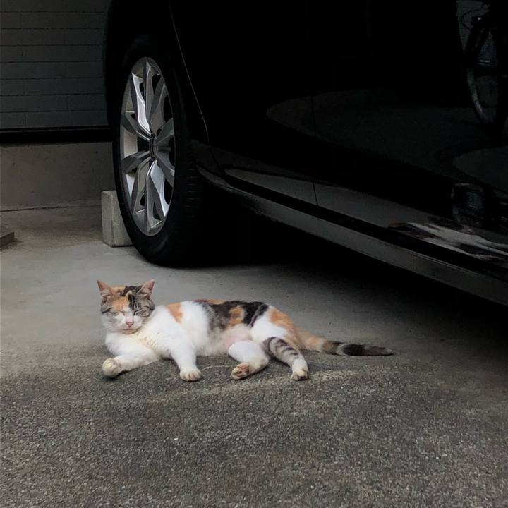 029f48bd b2e6 4ae5 afb9 5aac9182d16f 1630703431029