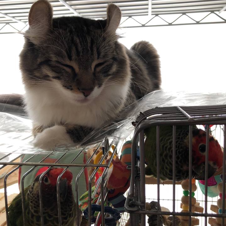 029f6927 2389 4a81 ab95 95d210e8922a 1513305034343