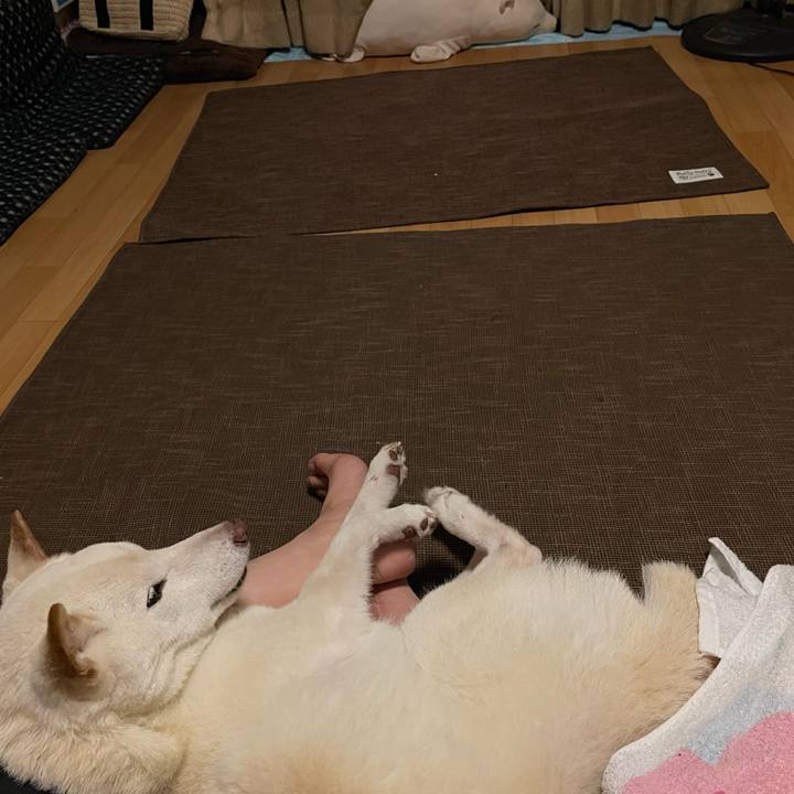 029f7f94 f8a9 42da 8438 597e11147674 1663512022807