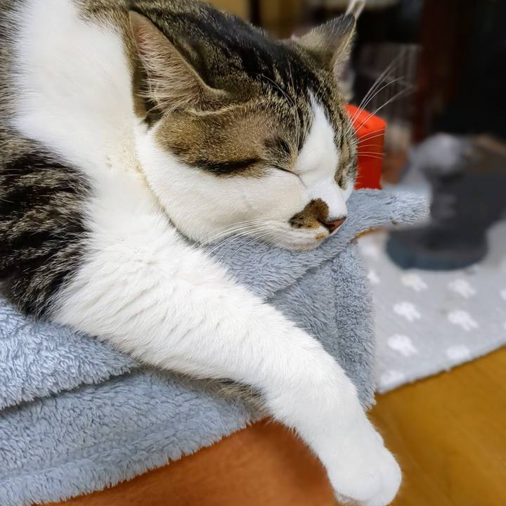 029fb504 63ea 4ce1 b723 d88fcfd9b0df 1666701786073