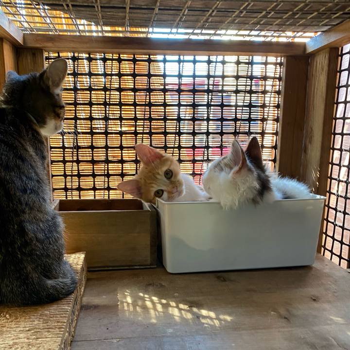 02a00e90 94d6 43e2 ad58 798a69831816 1633567675366