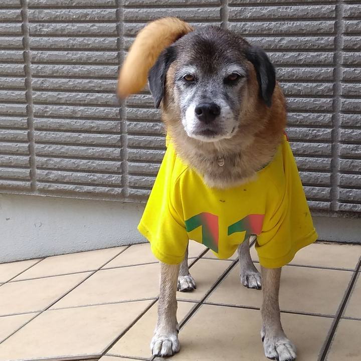 02a02833 b949 4c28 aa03 b95a0f5438d2 1570148901996