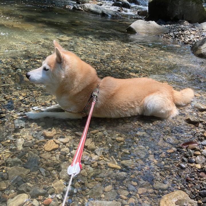 02a0560d 6c48 449a 8656 45c05ced1f1a 1636292995036