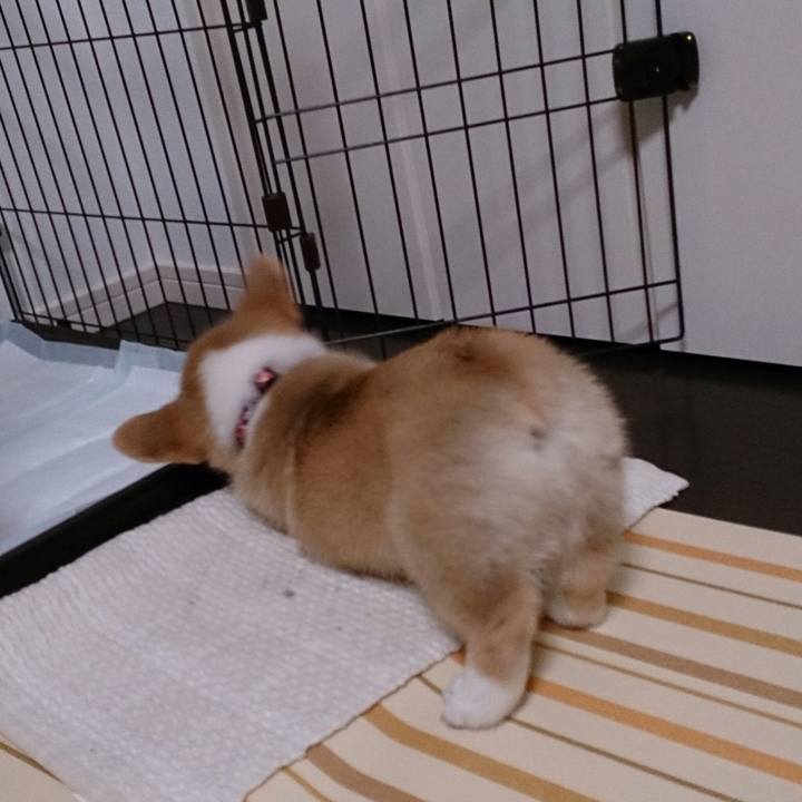 02a06226 3a3d 4a25 8a6b 8b1cd565afa6 1512042114692