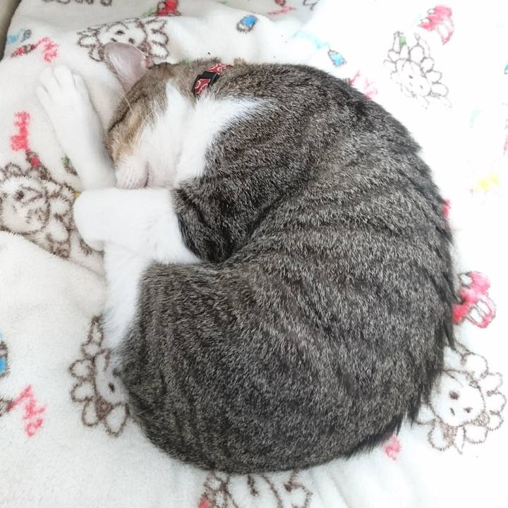 02a08984 0546 40e0 9e16 e5269c7e3020 1537917426602