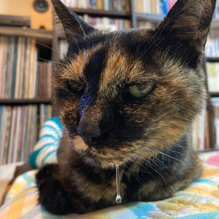 02a08d71 b7b5 4293 bb7e 94f02554fec8 1670303870915