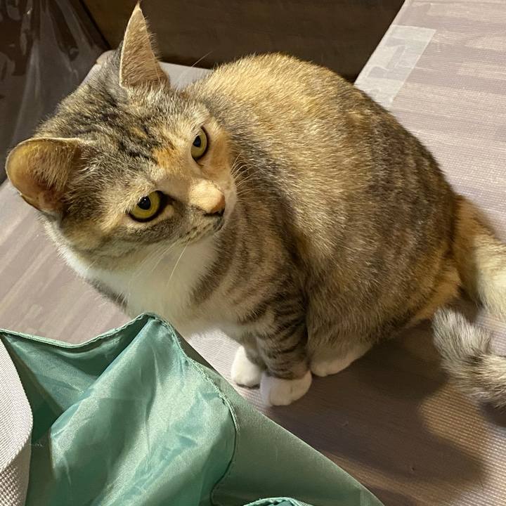 02a09da6 5976 4f25 ab46 2250e966938c 1612005626865