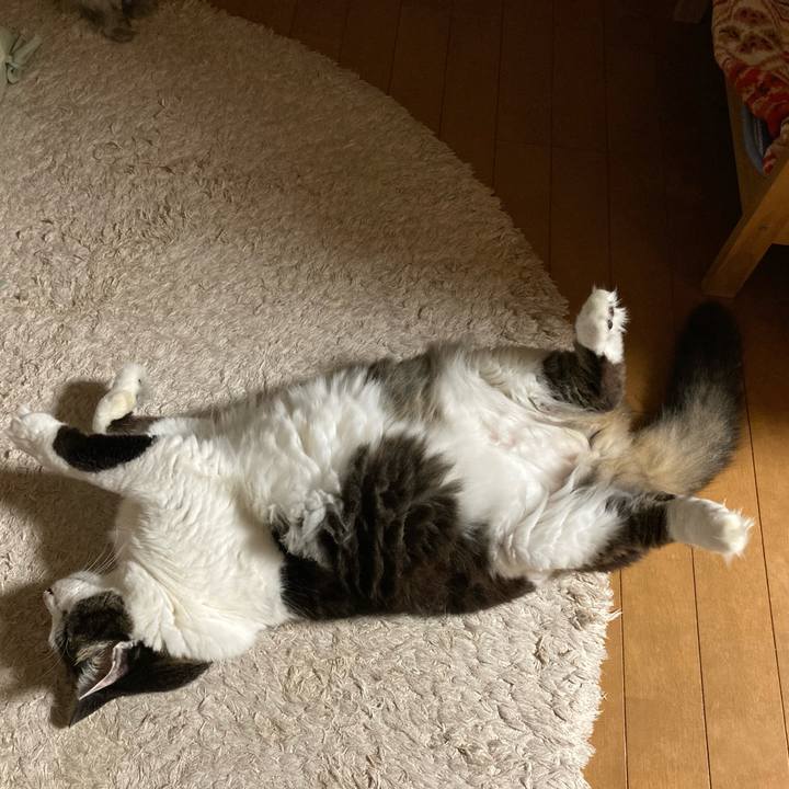 02a0a51a 40c1 45d7 87cd 4ff10ca95594 1711548924369