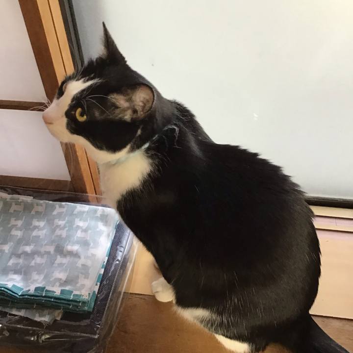 02a0af7c 8077 4f7e 953d b91a2460d3c5 1737966728886