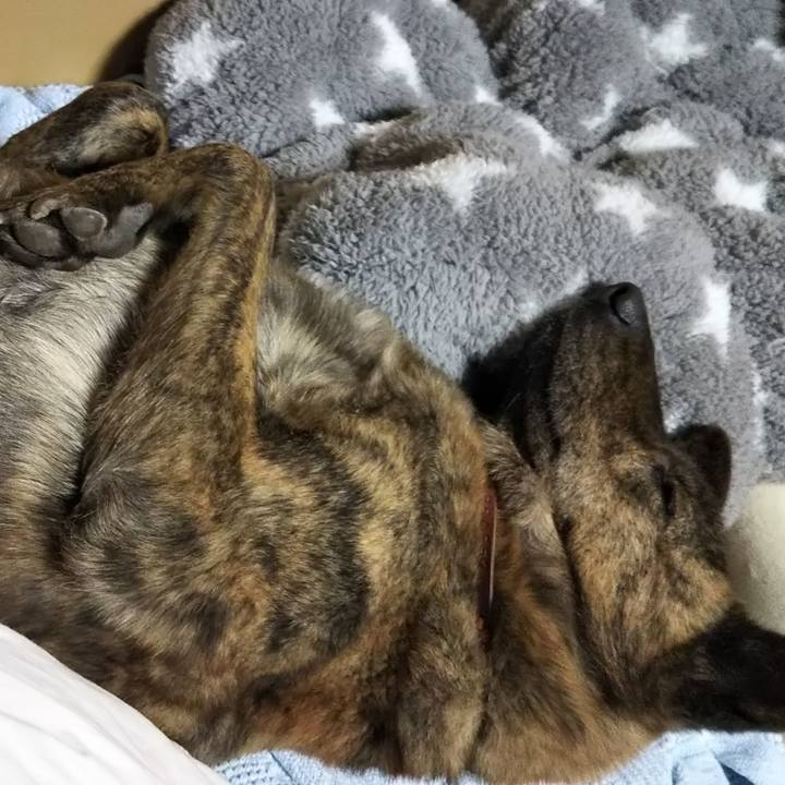 02a0c229 aa6f 4cd7 a6fc 906c16e9c410 1546770442937