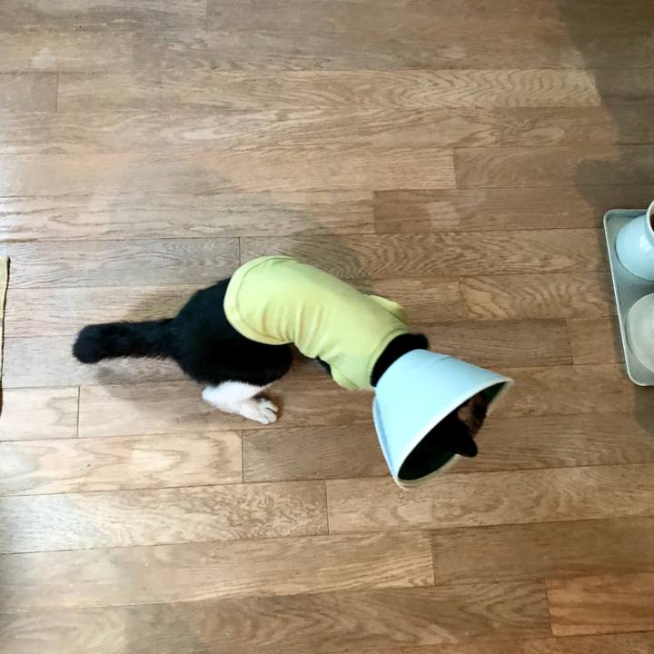 02a0c58d 018d 48de b044 bb51651f8eea 1581496502218