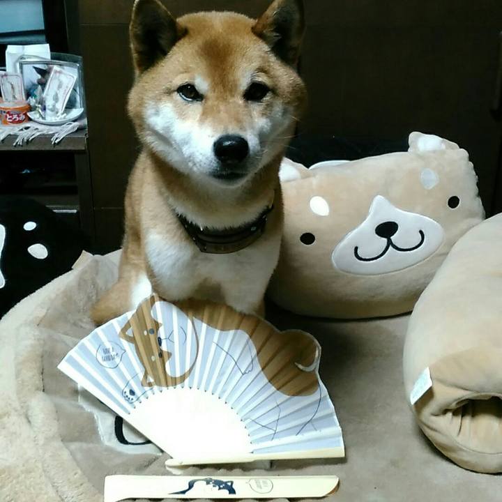 02a0e6df 4309 4d43 9a23 9bc422690a56 1557575379266