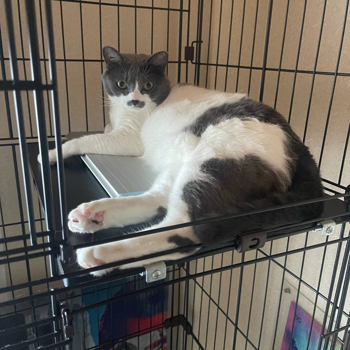 02a0eca3 191f 40f5 8cb9 d517e355fd48 1689544529036