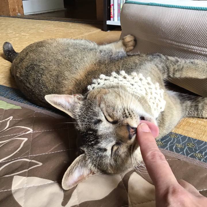 02a0f483 9d95 4a6f 9d8e 2aa0871a1ea2 1589772684303