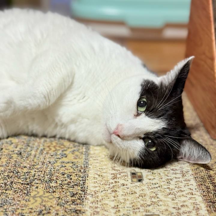 02a11e09 a066 466d 84bb fdb26aa5a314 1756432800308