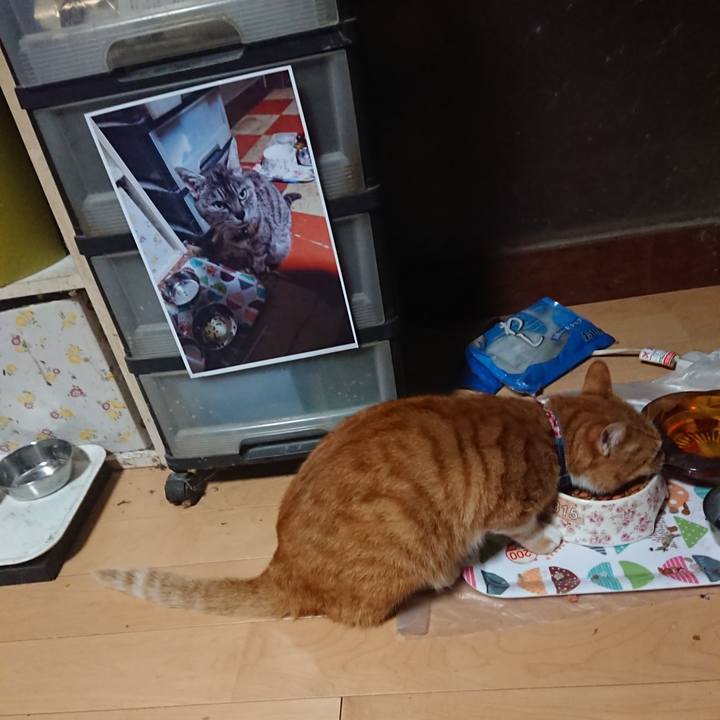 02a12aeb 209c 4f65 88b9 557c78304dad 1600199956659