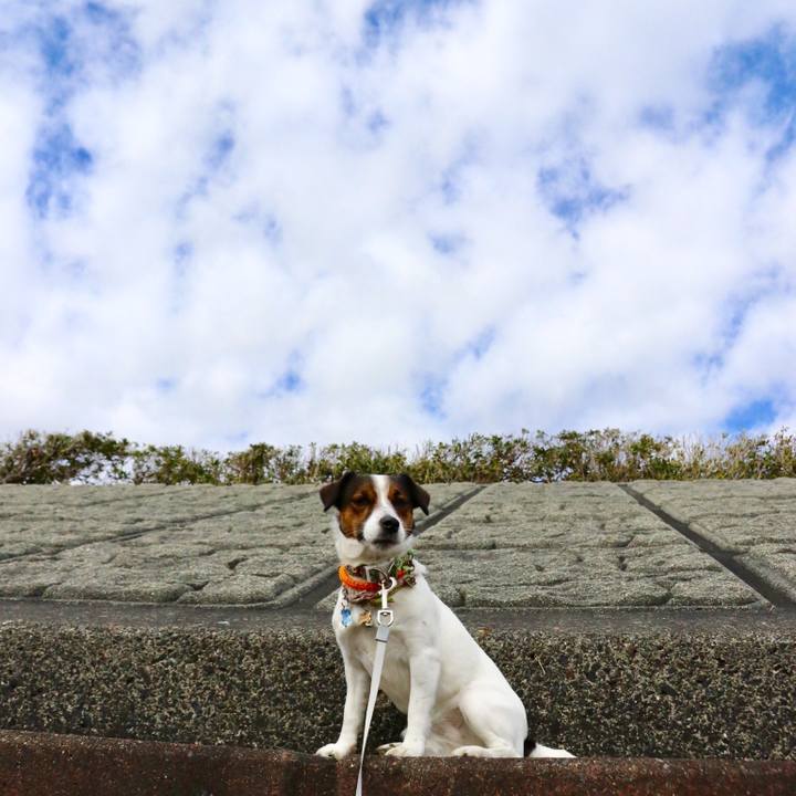 02a131ec 80f7 4456 9a4a ceda6ec3fdb8 1549774703092