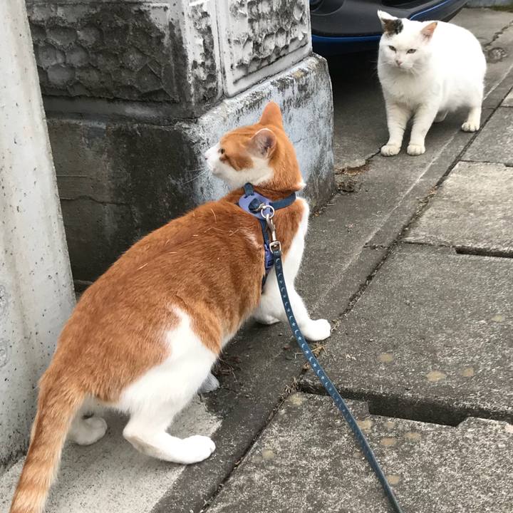 02a14470 3113 4b0b ab6c 97fd42319f36 1516600938059